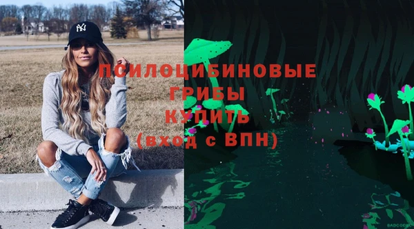 spice Приозерск