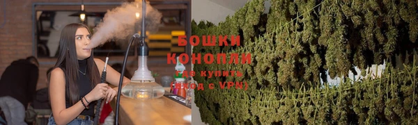 сатива Протвино