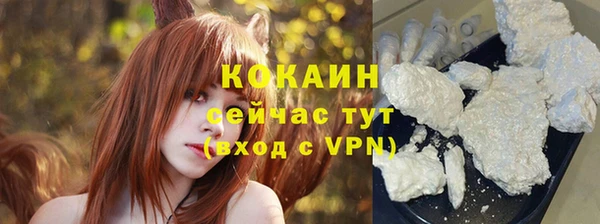 сатива Протвино